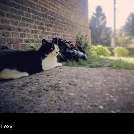Chambre Privee, A L'Ombre Des Pommiers