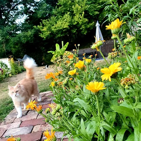 Chambre Privee, A L'Ombre Des Pommiers منزل للإقامة