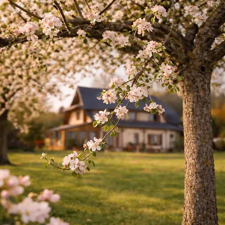 Homestay Privee, A L'ombre Des Pommiers Croix-Mare