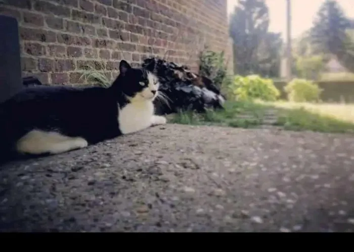 Chambre privée, A l'ombre des Pommiers