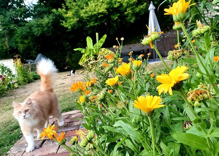 Chambre privée, A l'ombre des Pommiers Habitación en casa particular